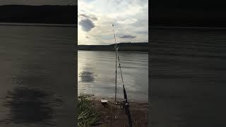 Очередная Рыбалка #рыбалка#fishing#fish