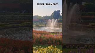 Amrit Udyan (formely Mughal Gardens) 2025 - Rashtrapati Bhawan, New Delhi #shorts #amritudyan #delhi