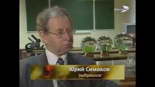 Нераскрытая тайна пришельцев - Кыштымский Карлик