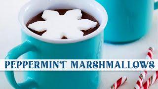 Homemade Peppermint Marshmallows & Hot Chocolate! || Holiday Baking w/ Anna Olson