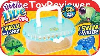 Little Live Pets Turtle Tank + Digi Unboxing Toy Review by TheToyReviewer