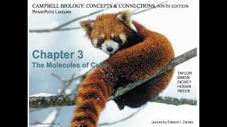 Professor Olufisayo Jejelowo's Biology class for non majors. Chapter 3.  The Molecules of Life.