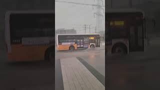 2초만에 팬티까지 젖었다#shorts #heavyrain #disaster #korea