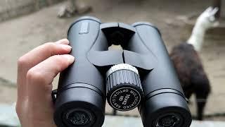 10x42 Binoculars for Adults