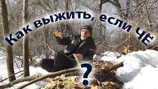 Как  выжить в лихую пору? Выживание. Как выжить в лесу.