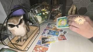 Ой, он мается. Что там с ним творится из за Вас