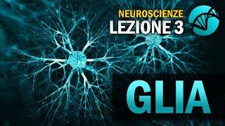 Le Cellule Gliali | NEUROSCIENZE - Lezione 3