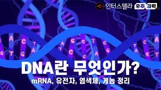 DNA란 무엇인가? mRNA, 유전자, 염색체, 게놈 정리