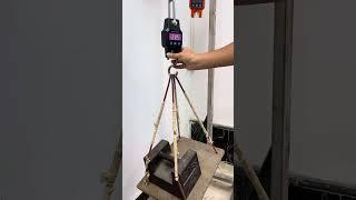 WH-C06 calibration 300kg hanging crane scale