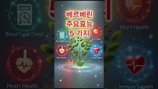 베르베린 효능 5가지  #베르베린