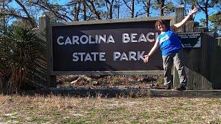 Searching for Venus flytraps and Pitchers in Carolina Beach State Park on Pleasure Island