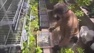 Doomsday Preppers-   Garden of Eden or Garden of Evil?