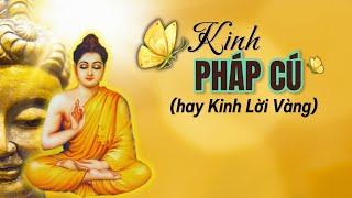 (Bản Full) Kinh Pháp Cú Những Lời Dạy Ngắn Gọn Ý Nghĩa Của Đức Phật - ĐTT