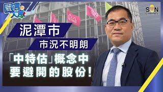 泥潭市，市況不明朗，「中特估」概念中要避開的股份！︱嘉賓：蔡金強︱葳言大意︱Sun Channel︱20230509