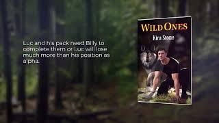 Wild Ones by Kira Stone