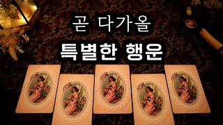 [타로] 곧 다가올 특별한 행운