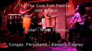 'Viva la Vida' TREELAN - Cork Folk Festival Trail