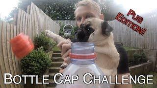 Pablo & Co's Bottle Cap Challenge!