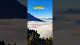 Morning view || #nature #youtube #shorts