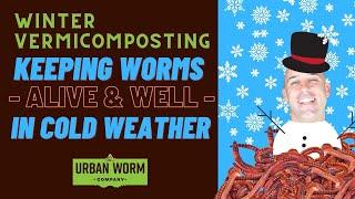 Vermicomposting in Winter: 7 Simple Tips to Save Your Worm Bin From the Cold