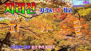 [지리산 명품] 피아골 단풍은 세상에서 제일 아름다운 삼홍소/ 지리10경/ 피아골 계곡에 오색 물감 뿌리다/한국 최고 단풍 명소/ 천상의 단풍 꼭 한번 체험해보기 가이드