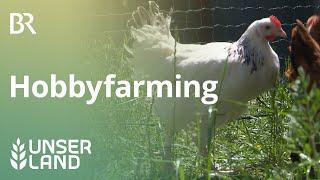 Hobbyfarming - Hühner im Hausgarten | Unser Land | BR Fernsehen