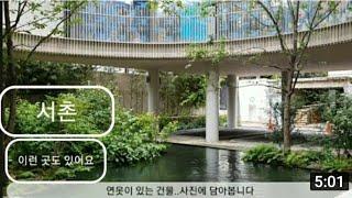 Seoul Walking Tour, Seochon: 서울산책, 서촌