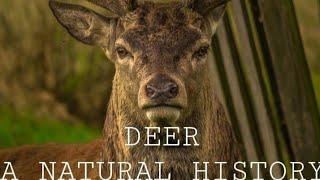 Deer: A Natural History, (Biology, Anatomy, and Species).