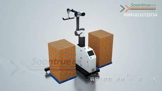 Small palletizing robot -- Soontrue Machinery