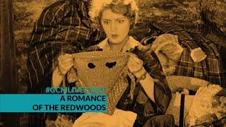 A ROMANCE OF THE REDWOODS