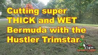 Mowing SUPER WET & THICK Bermuda with the Hustler Trimstar