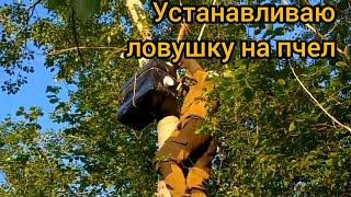 установка ловушки на пчел