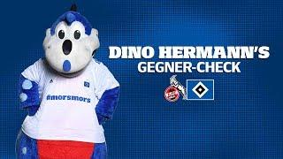 Dino Hermann's Gegner-Check | 1. FC Köln | #KOEHSV