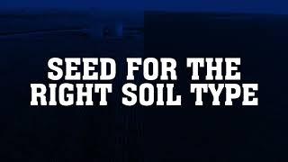 What Are the Traits of Champion Seed?