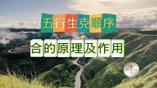 五行生克順序：合的原理及作用#五行生剋 #八字教學