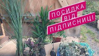 Посилка-подарунок від підписниці Наталії