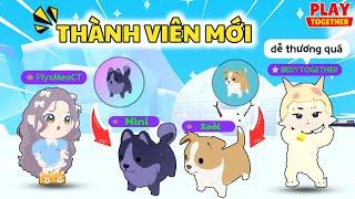 Meo Chính Thức Đón Thành Viên Mới Về Gia Đình Medy Khiến Bedy Cảm Động | Play Together