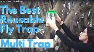 The Best Fly Trap - Fly In - Multi Trap