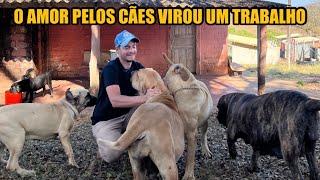 5 MOTIVOS DE CRIAR UM FILA BRASILEIRO