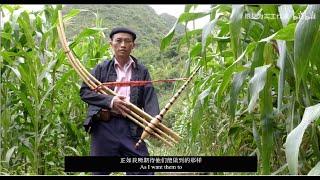 [Eng Sub Docu]: Playing For The Ancestors 芦笙絮语 Kev Cai Hmoob Tshov Qeej Rau Kev Ploj Kev Tuag