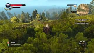 Epic crossbow shot Witcher 3