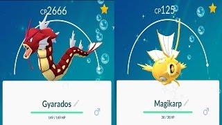 Evolving Shiny Magikarp to Red Gyarados +10 Eevee Evolution & Gen 2 9x5km Egg in Pokemon GO