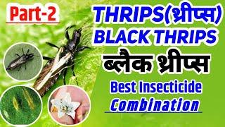 Thrips control insecticide | Black thrips control insecticide |  best combination Insecticide