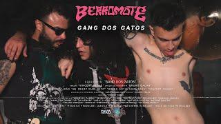 BERRO MOTE - GANG DOS GATOS (VIDEOCLIPE OFICIAL)