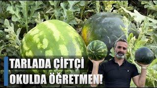 Tatilde Çiftçi Okulda Öğretmen! 20 Kilo Karpuz Üretti!