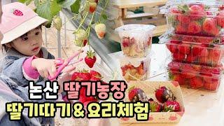 [하이별이 플레이로그] 논산 딸기농장  딸기따기 체험 + 딸기 요리체험 (큐브케익, 퐁듀만들기) Strawberry farm