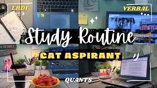 CAT 2024 Preparation Vlog ⏰ Study Routine Only 5 Months Left | CAT Aspirant Life