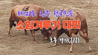 제128회 #진주 #전통민속 #소힘겨루기 대회 오후 경기 [2/2] (241012)