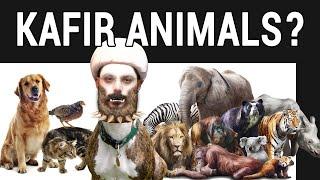 Khabees says there are Kafir animals