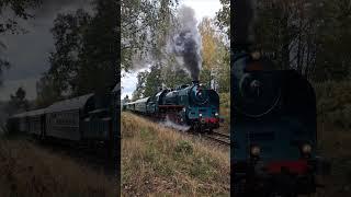 486.007 "Zelený Anton" pełną parą do Ebersbach #train  #486007 #luzickehory #rumburk #csd #parnivlak